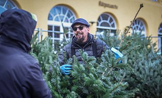 Jens Klawitter kennt sich aus, seit sieben Jahren verkauft er Weihnachtsbäume auf dem Siggi. Natürlich mag er echte am liebsten. - Sarah Jonek