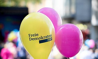Die FDP im Kreis Höxter will eine Nachwuchsorganisation gründen. - Pixabay