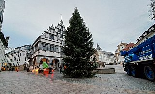 Der Weihnachtsbaum am Paderborner Rathaus wird in den nächsten Tagen noch eine Lichterkette bekommen und den Platz dann hell erstrahlen lassen. - Matthias Reiprich