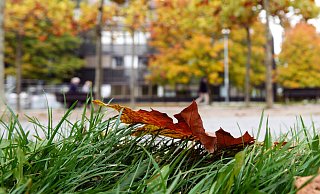 In Deutschland hat es im Oktober dem Deutschen Wetterdienst zufolge besonders viel geregnet. - Linda Henrich/dpa