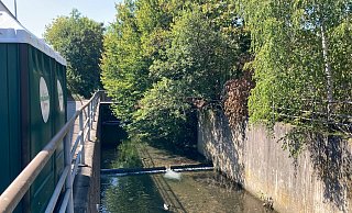 Im Bereich der Brücke über den Forellenbach wurde die junge Frau gefunden. Sie schwebte in Lebensgefahr. - Jobst Lüdeking