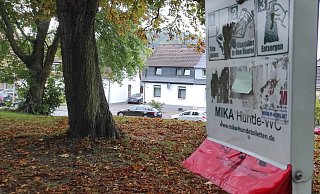 Ebenfalls heiß diskutiert: Kotbeutelspender. Gibt's da zu wenig in Höxter? - Svenja Ludwig