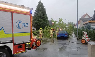 In einigen Orten im Kreis Paderborn sorgte das Sturmtief für umgestürzte Bäume, so wie an der Kirchbrede in Delbrück. Hier war die Feuerwehr am frühen Freitagmorgen im Einsatz. - Feuerwehr Delbrück