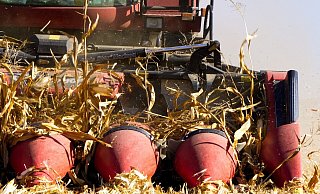 Ein 34-Jähriger hatte sich an ausrangierten Mähdrescher zu schaffen gemacht. - Symbolbild Pixabay