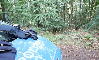 Ermittlungen im Wald (Symbolbild). - Ulf Hanke