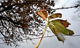 Es bleibt grau in OWL. - Karl-Josef Hildenbrand