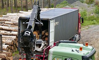 Seit 2018 sind über 100.000 Festmeter Stammholz aus dem Lichtenauer Stadtwald entnommen worden. - Stefan Befeld / Wald & Holz NRW