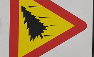 Ina Wagner hat den Bürger-Weihnachtsbaum initiiert und spendet den Erlös an die "Aktion Lichtblicke". - Rainer Stephan