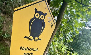 Es wird spannend im Kreis Paderborn: Nach dem Nein des Kreistages in Höxter zum Nationalpark positionieren sich nun die Parteien im Paderborner Land. Noch ist nicht klar, ob auch hier schon bald eine Abstimmung im Kreistag folgt. - Jens Reddeker