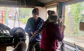 Tierparkbesitzer Christoph Nadermann (l.) füttert gemeinsam mit der Tierpflegerin Jana Stratmann die Neuzugänge des Tierparks: Sieben kleine Kattas. - Jule Barmwater