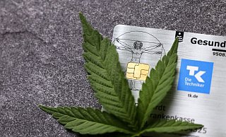 Noch in dieser Legislaturperiode soll Cannabis in Deutschland legalisiert werden. Seit nunmehr fünf Jahren darf es legal auf Rezept verschrieben werden. Doch viele Krankenkassen halten sich mit den Erstattungen zurück. - picture alliance / Panama Pictures