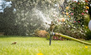Auf das Sprengen des Rasens sollten die Menschen angesichts des im Sommer erhöhten Wasserverbrauchs verzichten und ihn ruhig braun werden lassen. - Benjamin Nolte