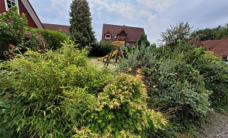 Spielplatz "An der Eichsfeldstraße" in Bünde-Spradow: Anwohner haben sich über den schlechten Zustand beschwert. - Gerald Dunkel