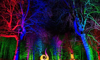 Licht- und Schattenspiele: Vom 5. bis zum 15. Oktober leuchtet abends das Gartenschaugelände im Remtergarten und am Weserbogen. - Lightart-Events Detmold