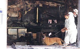 Der speziell ausgebildete Spürhund "Rübe" bei der Arbeit im Herforder Brandhaus. - Claus Frickemeier