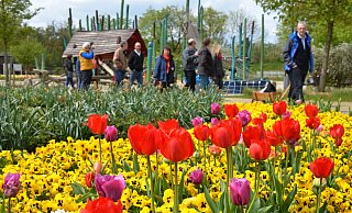 Die Entscheidung über eine mögliche Bewerbung für die Landesgartenschau 2029 soll im Herbst fallen. - Birgit Vredenburg