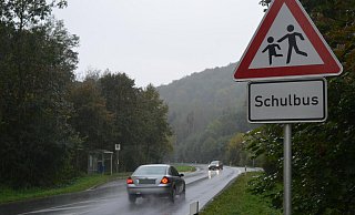 Das Hinweiß-Schild allein reicht nicht, die Roggenthaler fordern eine Geschwindigkeitsreduzierung auf 70 km/h, um sicher die Bundesstraße 241 überqueren zu können. - Nicole Fischer