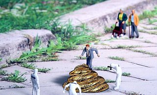 Hundehaufen auf der Straße sind ein großes Ärgernis in Paderborn. - Symbolbild: Pixabay