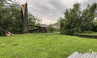 Mehr als 1.000 Bäume sind durch den Tornado umgestürzt, wie dieses kurze Zeit später entstandene Foto zeigt. - Marc Schröder