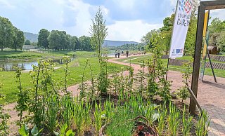 Ideal für einen Abendspaziergang zur Weserscholle: Ab fünf Uhr kostet der Eintritt zur Landesgartenschau Höxter nur fünf Euro. Einmal im Monat gibt es hier beim „Vorblühen“ sogar Live-Musik, erstmals am 8. Juni. - LGS