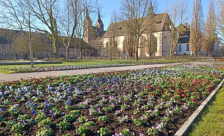 Besucherinnen und Besucher der Landesgartenschau in Höxter erwartet eine Blütenpracht. - LGS Höxter 2023