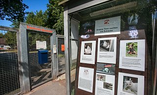 Die Tore des Bielefelder Tierheims bleiben bis einschließlich 7. August geschlossen. - Andreas Zobe