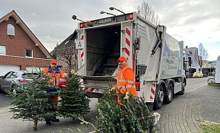 Der ASP holt die ausgedienten Weihnachtsbäume in der Stadt Paderborn kostenlos ab. - Stadt Paderborn/ASP