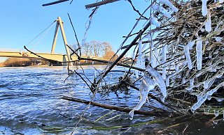 Eiszeit: Noch immer ist der Pegel in Höxter sehr hoch. An angeschwemmtem Treibgut bilden sich kleine Eiszapfen. - David Schellenberg