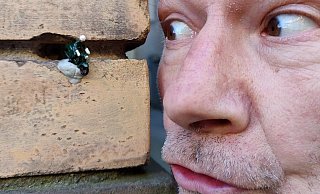 Gleiches Motorrad, anderer Ort: Ein Pendant des Borgholzhausener Kunstwerks steht in Stuttgart. - Susanne von Bülow