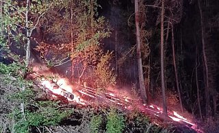 Brennender Wald bei Obermarsberg - Freiwillige Feuerwehr Marsberg