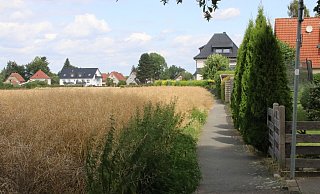 An diesem Durchgangsweg im Bereich Herforder Heide auf Höhe Dohlenweg wurden die mutmaßlichen Giftköder von aufmerksamen Anwohnern aufgefunden. Sie riefen die Polizei, die die Fundstücke sicherstellte. - Claus Frickemeier