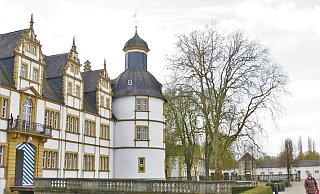 In Paderborn stehen viele alte Bäume, doch welcher ist der älteste? - Jessica Eberle