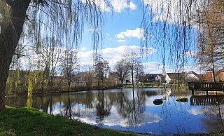 Der Ententeich am Nieheimer Kurpark lädt zum Verweilen ein. Hier kann man die Seele baumeln lassen. - David Schellenberg