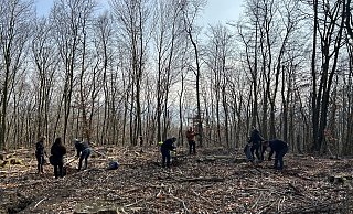 Dem Wald geht es schlecht, weshalb das Unternehmen Feldwerk mit Baumpaten ein Stück wiederaufforstet. - Marco Schlomann