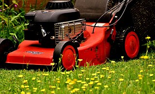 Mehrere hundert Rasenmäher sind gestohlen worden. - (Symbolbild): Pixabay