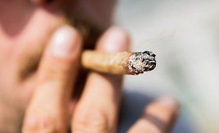 Das Bundeskabinett will Cannabis legalisieren. - Christoph Soeder