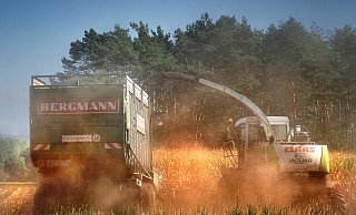 Die anhaltende Trockenheit bereitet den Landwirten im Kreis Gütersloh Sorgen. Hinzu kommen die hohen Energie- und Futterkosten. - Andreas Frücht