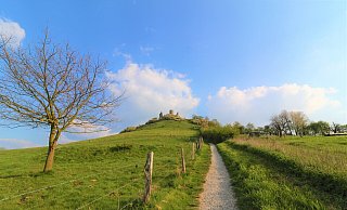 Der Desenberg ist das markante Wahrzeichen des Warburger Landes. - Simone Flörke