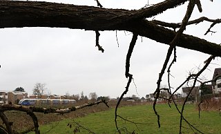 Auf dieser Fläche an der Brandisstraße sollen die drei Mehrfamilienhäuser gebaut werden. - Holger Kosbab