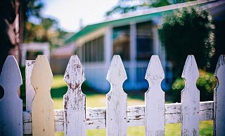 Solche Nachbarn wünscht man sich. - CC0 Pixabay