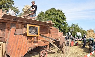 Das Ausdreschen der geernteten Weizenähren gehört zu den Höhepunkten des Festes. Dafür haben die Treckerfreunde Leopoldshöhe eine mit Transmission angetriebene, historische Dreschmaschine in Betrieb genommen. - Karin Prignitz