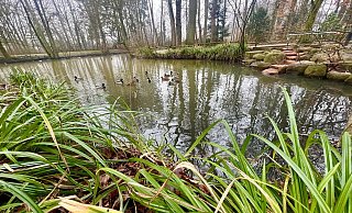 Den Ermittlern bot sich ein schreckliches Bild: Teilweise nackt und in Bauchlage trieb die Leiche von Marianne W. zwei Meter vom Ufer entfernt im Wasser. - Wolfgang Wotke
