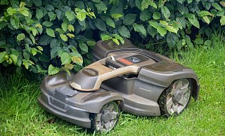 Mähroboter sind eine Gefahr für Igel. - Monika Skolimowska/dpa