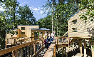 In der Jugendherberge mit Naturerlebnispark Panarbora kann im Baumhaus übernachtet werden. - Ludolf Dahmen / DJH-Rheinland