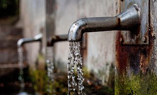 Gärten sollten jetzt nicht bewässert werden. - Pixabay (Symbolbild)