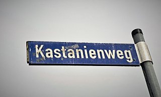 In einem Wohnhaus am Kastanienweg überraschte eine Bewohnerin einen maskierten Einbrecher. - Madita Schellenberg