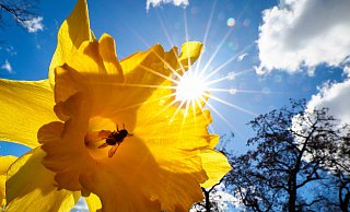 Der Frühling liegt in der Luft: In der kommenden Woche wird es wärmer. - dpa