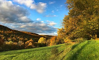 Die Egge, wie hier am Nordhang, könnte in Teilen Nationalpark werden. Die Debatte ist in vollem Gang. - Kurt Blaschke