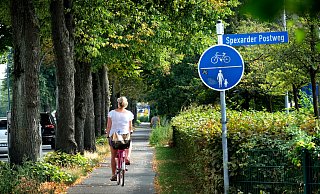 Gemeinsam mit der heimischen Fahrrad-Gemeinde will die Stadt Gütersloh herausfinden, welche Abschnitte als "smarte Radwege" erprobt werden sollten. - Andreas Frücht Gemeinsam mit der heimischen Fahrrad-Gemeinde will die Stadt Gütersloh herausfinden, welche Abschnitte als "smarte Radwege" erprobt werden sollten. - Andreas Frücht