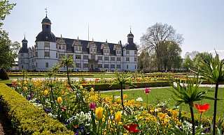 Dauerhafte und temporäre Fahrradständer sollten an 15 verschiedenen Orten im Schlosspark in Schloß Neuhaus errichtet werden, so der Vorschlag. - Niklas Tüns